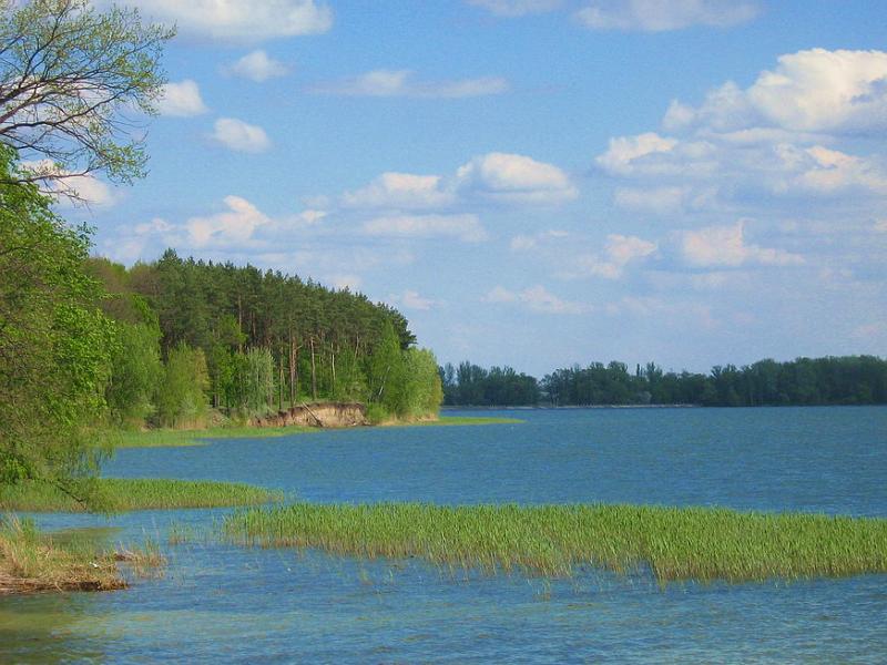 Берег Печенежского вод-ща