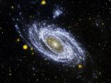 Галактика M81 в ультрафиолете