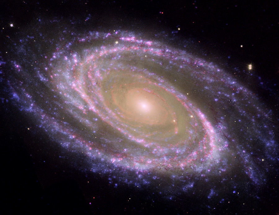Багатохвильове зображення галактики М81